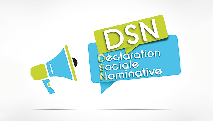La DSN, un canal de transmission des données
