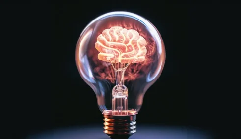 Comprendre son cerveau Comprendre son cerveau