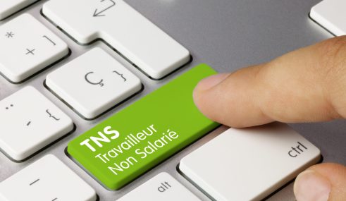 TNS Travailleur Non Salarié Le statut de travailleur non-salarié (TNS) : tout savoir pour bien le choisir